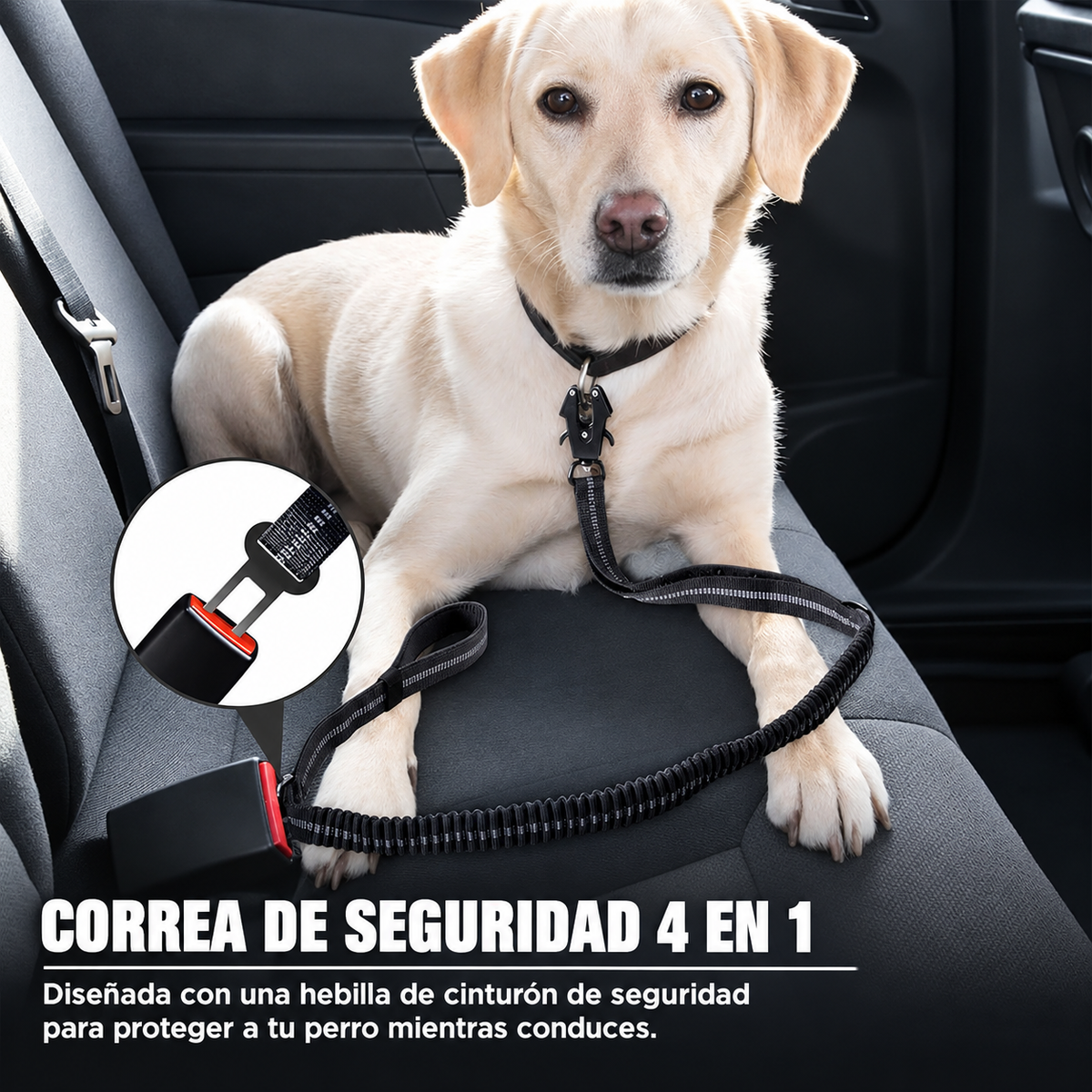 Correa Tactica Anti Tirones